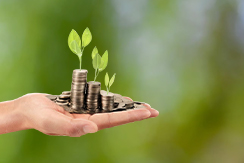 Fixed-Deposit