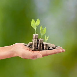 Fixed-Deposit